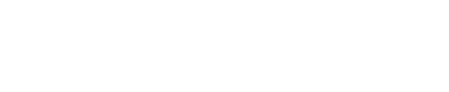 409.ai